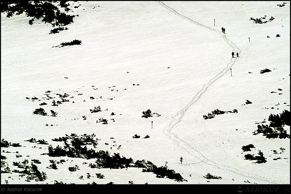 Fotografia: Urme prin zapada / Traces Through The Snow, KERUCOV .ro © 1997 - 2024 || Andrei Vocurek