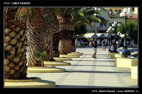Fotografia Langa palmieri / , album Orasul oarecare - Puncte peste asfalt / Some City - Spots on the Asphalt, Sitia, Grecia, Insula Creta / Greece, Crete, KERUCOV .ro © 1997 - 2022 || Andrei Vocurek