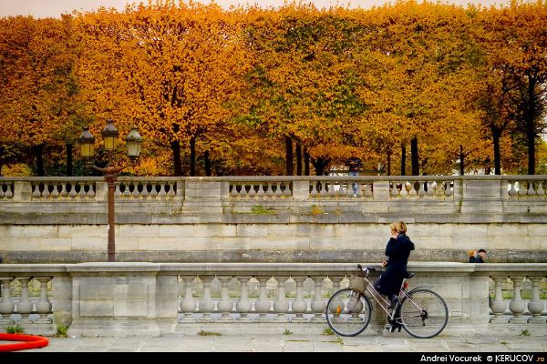 O zi obisnuita. Urban. Normal. Culori. Pavaje. Oameni. Dispersati. Bicicleta. Telefon. Oricare zi. Obisnuita. Linistita. Colorata. Intr-un oras. Paris. 2010