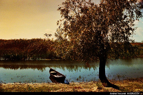 Fotografia Timp pentru siesta / Siesta Time, album Viata simpla de la tara / Simple Life in the Countryside, sat Letea, Romania / Roumanie, KERUCOV .ro © 1997 - 2024 || Andrei Vocurek