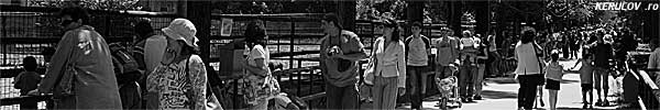 KERUCOV .ro - Animalele din Gradina Zoologica Bucuresti
