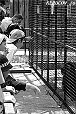 KERUCOV .ro - Animalele din Gradina Zoologica Bucuresti