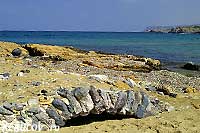 KERUCOV .ro - Fotografie si Webdesign - CRETA 2006