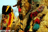 KERUCOV .ro - Fotografie si Webdesign - Florile Dalbe - Muzeul National al Satului Dimitrie Gusti - Colindatori si colinde de Craciun