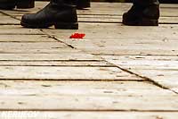 KERUCOV .ro - Fotografie si Webdesign - Florile Dalbe - Muzeul National al Satului Dimitrie Gusti - Colindatori si colinde de Craciun