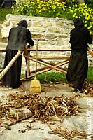 KERUCOV .ro - Fotografie si Webdesign - Schitul Bradu, judetul Valcea