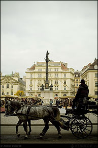 KERUCOV .ro - Fotografie si Webdesign - Vacanta in Austria - 6 - Viena vazuta de la inaltime
