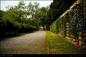 KERUCOV .ro - Fotografie si Webdesign - Vacanta in Cehia - 8 - Belvedere, Hradcany, artistii