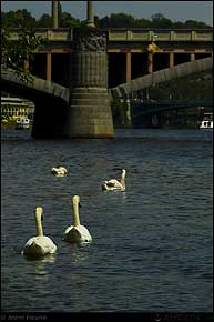 KERUCOV .ro - Fotografie si Webdesign - Vacanta in Cehia - 9 - Pe Vltava, Praga la Karlstejn