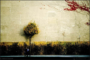 KERUCOV .ro - Fotografie si Webdesign - Mentiune Eurostars Hotels Photography Prize