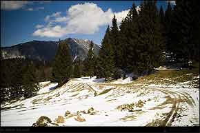 KERUCOV .ro - Fotografie si Webdesign - Montan, din Sinaia la Brasov si inapoi in Bucuresti
