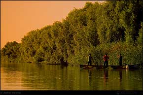KERUCOV .ro - Fotografie si Jurnale de Calatorie - Delta Dunarii - 3 - Cu barca pe canale in Rezervatie