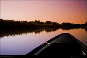 KERUCOV .ro - Fotografie si Jurnale de Calatorie - Delta Dunarii - 3 - Cu barca pe canale in Rezervatie
