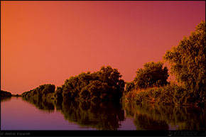 KERUCOV .ro - Fotografie si Jurnale de Calatorie - Delta Dunarii - 3 - Cu barca pe canale in Rezervatie