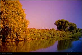 KERUCOV .ro - Fotografie si Jurnale de Calatorie - Delta Dunarii - 3 - Cu barca pe canale in Rezervatie