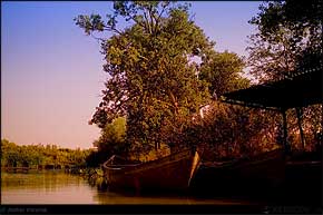 KERUCOV .ro - Fotografie si Jurnale de Calatorie - Delta Dunarii - 3 - Cu barca pe canale in Rezervatie