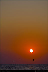 KERUCOV .ro - Fotografie si Jurnale de Calatorie - Delta Dunarii - 4 - Lacul Rosu, Erenciuc, Caraorman