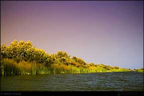 KERUCOV .ro - Fotografie si Jurnale de Calatorie - Delta Dunarii - 4 - Lacul Rosu, Erenciuc, Caraorman