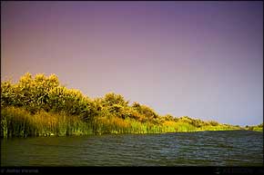 KERUCOV .ro - Fotografie si Jurnale de Calatorie - Delta Dunarii - 4 - Lacul Rosu, Erenciuc, Caraorman