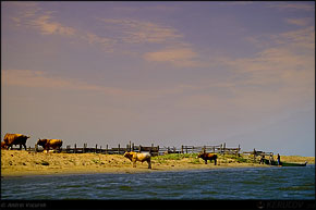 KERUCOV .ro - Fotografie si Jurnale de Calatorie - Delta Dunarii - 4 - Lacul Rosu, Erenciuc, Caraorman