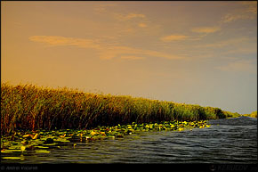 KERUCOV .ro - Fotografie si Jurnale de Calatorie - Delta Dunarii - 4 - Lacul Rosu, Erenciuc, Caraorman