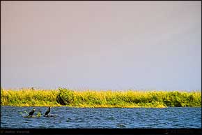 KERUCOV .ro - Fotografie si Jurnale de Calatorie - Delta Dunarii - 4 - Lacul Rosu, Erenciuc, Caraorman