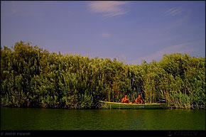 KERUCOV .ro - Fotografie si Jurnale de Calatorie - Delta Dunarii - 4 - Lacul Rosu, Erenciuc, Caraorman