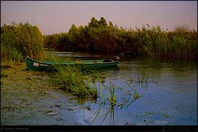 KERUCOV .ro - Fotografie si Jurnale de Calatorie - Delta Dunarii - 4 - Lacul Rosu, Erenciuc, Caraorman