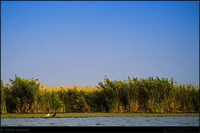 KERUCOV .ro - Fotografie si Jurnale de Calatorie - Delta Dunarii - 4 - Lacul Rosu, Erenciuc, Caraorman