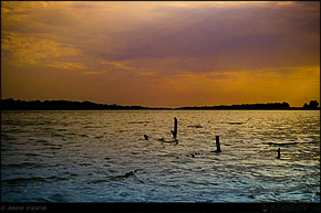 KERUCOV .ro - Fotografie si Jurnale de Calatorie - Delta Dunarii - 4 - Lacul Rosu, Erenciuc, Caraorman