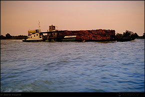 KERUCOV .ro - Fotografie si Jurnale de Calatorie - Delta Dunarii - 4 - Lacul Rosu, Erenciuc, Caraorman