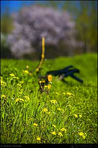 KERUCOV .ro - Fotografie si Webdesign - Excursie foto cu Orasul.ro: Aviatiei - Gara Baneasa