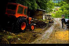 KERUCOV .ro - Fotografie si Webdesign - Excursie foto cu Orasul.ro: Prin Poiana Narciselor