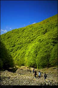 KERUCOV .ro - Fotografie si Webdesign - Excursie foto cu Orasul.ro: Prin Poiana Narciselor