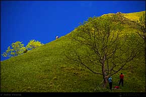 KERUCOV .ro - Fotografie si Webdesign - Excursie foto cu Orasul.ro: Prin Poiana Narciselor