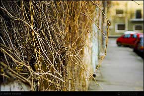 KERUCOV .ro - Fotografie si Webdesign - Excursie foto cu Orasul.ro: Buzesti - Calea Grivitei