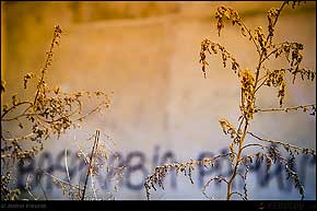 KERUCOV .ro - Fotografie si Webdesign - Excursie foto cu Orasul.ro: Buzesti - Calea Grivitei