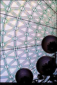 KERUCOV .ro - Fotografie si Webdesign - Excursie foto cu Orasul.ro: La Ateneul Roman