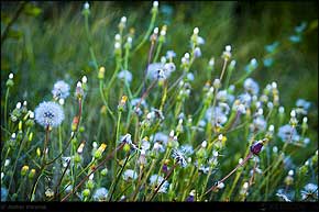 KERUCOV .ro - Fotografie si Webdesign - Excursie foto cu Orasul.ro: La Ateneul Roman