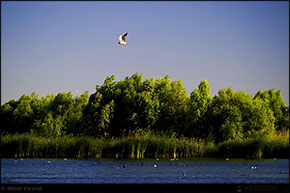 KERUCOV .ro - Fotografie si Webdesign - Excursie foto cu Orasul.ro: Lacul Vacaresti