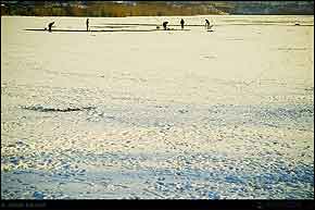 KERUCOV .ro - Fotografie si Webdesign - Excursie foto cu Orasul.ro: Obor - Lacul Fundeni