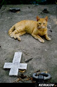 KERUCOV .ro - Fotografie si Jurnale de Calatorie - Excursie foto cu Orasul.ro: Cimitirul Bellu