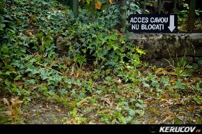 KERUCOV .ro - Fotografie si Jurnale de Calatorie - Excursie foto cu Orasul.ro: Cimitirul Bellu