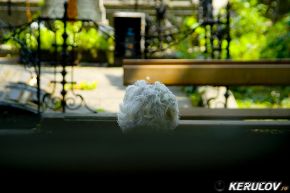 KERUCOV .ro - Fotografie si Jurnale de Calatorie - Excursie foto cu Orasul.ro: Cimitirul Bellu