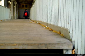 KERUCOV .ro - Fotografie si Jurnale de Calatorie - Excursie in Franta - 1 - Paris: Turnul Eiffel si Sena