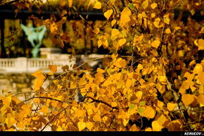 KERUCOV .ro - Fotografie si Jurnale de Calatorie - Excursie in Franta - 1 - Paris: Turnul Eiffel si Sena