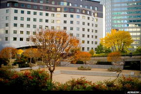 KERUCOV .ro - Fotografie si Jurnale de Calatorie - Excursie in Franta - 2 - Paris: La Defense, Champs Elysees