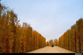 KERUCOV .ro - Fotografie si Jurnale de Calatorie - Excursie in Franta - 5 - Palatul si Gradinile de la Versailles