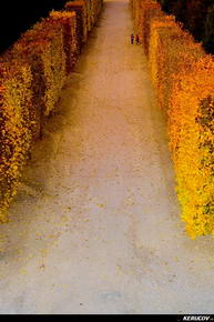 KERUCOV .ro - Fotografie si Jurnale de Calatorie - Excursie in Franta - 7 - Versailles, Paris, Beauvais Tille