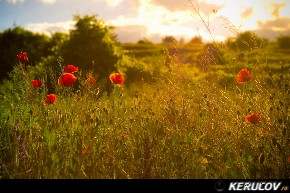 KERUCOV .ro - Fotografie si Jurnale de Calatorie - Excursie la Marea Neagra - II: Corbu - Vama Veche